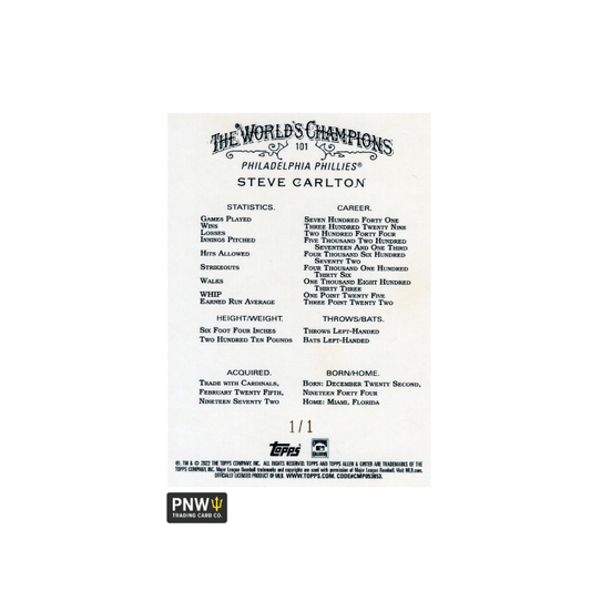 تي شيرت مريح بطبعة كلب