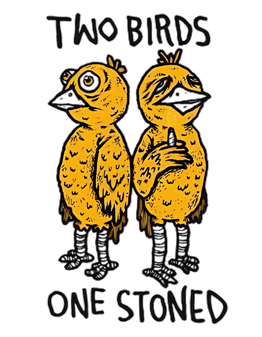 Two Birds One Stoned - Oversized T-Shirt