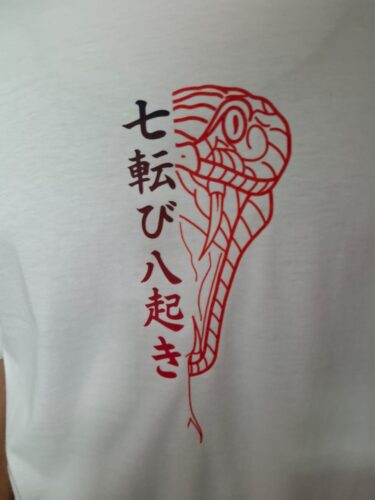 Japanese viper – Oversize T-Shirt photo review